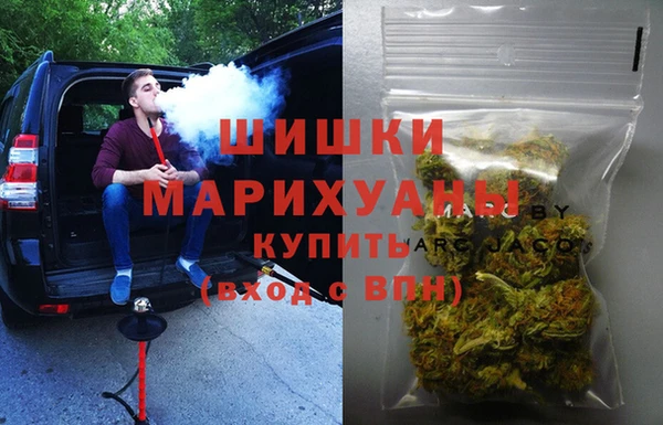 индика Белокуриха