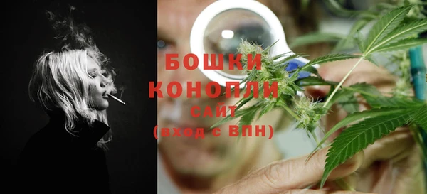 индика Белокуриха
