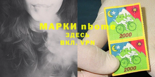 индика Белокуриха