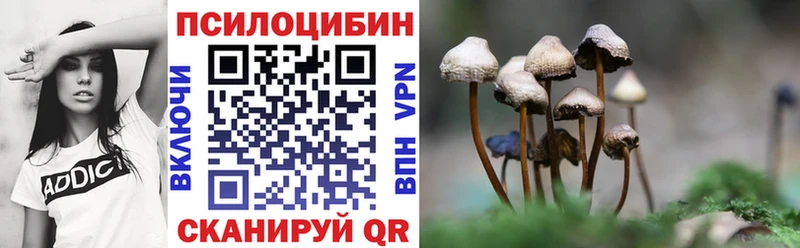 Псилоцибиновые грибы GOLDEN TEACHER  blacksprut ONION  Александровское 