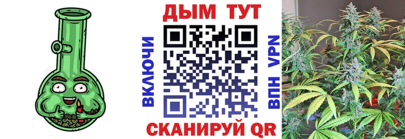 Каннабис White Widow  где можно купить наркотик  Александровское 